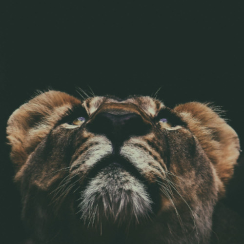 Stream Harvard (feat. Jozman & Nate rsa) by FutureSA | Listen online ...