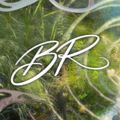 botanica recs full discography