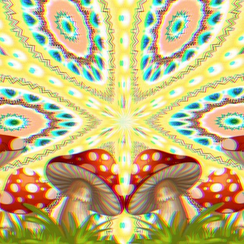 Intellectual Mycelium (Demo 3)