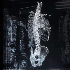 B$BG DET OSYNLIGA - SPORTFISKE