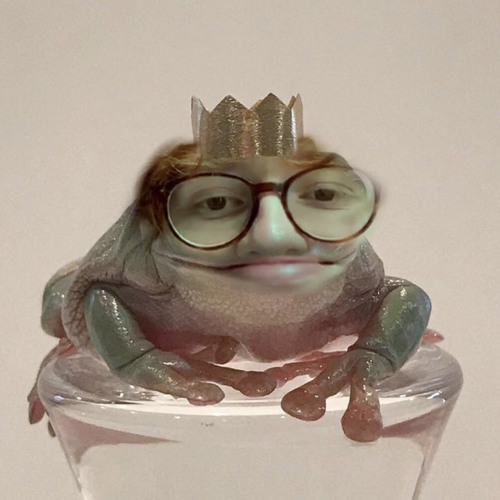 Frog (unreleased) - cavetown live