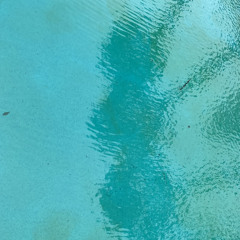 Wednesdays-demo-2.24.2021