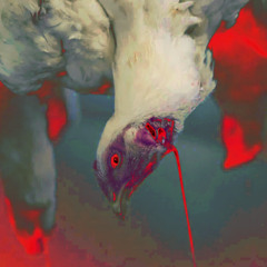 pain@cock