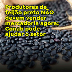 Produtores de feijão preto NÃO devem vender mercadoria agora; Conab pode ajudar o setor.
