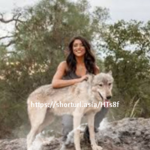 viral videos 18+@@ war 2 hrithik roshan one girl one wolf viral video original