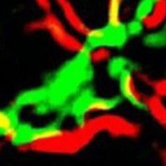 TA-Z05     Jérémie Ducroix  Rx