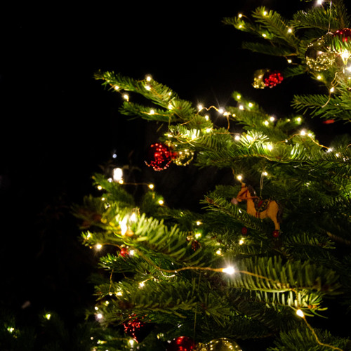 Roll up + Łøso the ghøüł + Bxredom [teufel] #MERRYCHRISTMAS