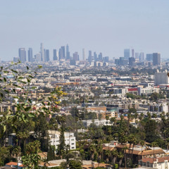 lifestyle (Pinkgrillz)