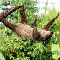 Endless Pursuit (with Reuven)