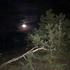 Mother Nature’s Mind (Acoustic)