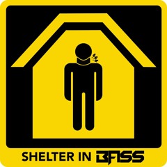 Shelter In Bass Mix