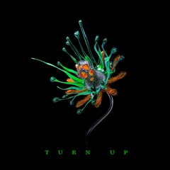 ØBSTN - Turn Up [FREE DL]