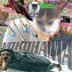 Y0K0HAMA - BSB CLIQUE