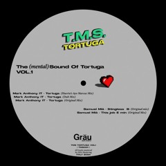 PREMIERE: Samuel Mià - This Job E Min [TMS001]