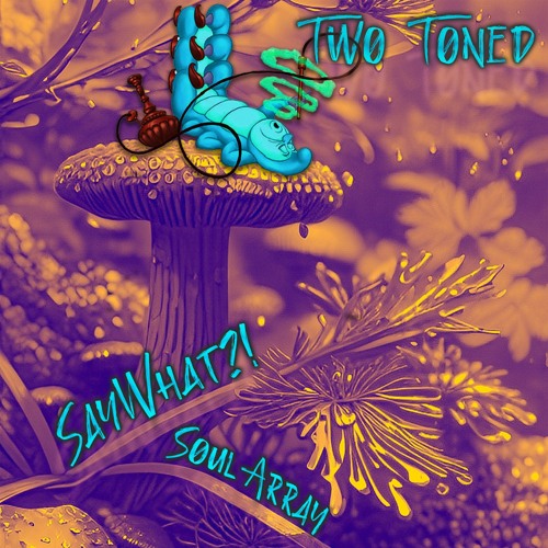 SayWhat?! - Two Toned ft. Soul Array