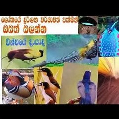 The career advice I would give if I wasn't afraid to hurt your feelings