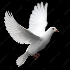 Dona Nobis Pacem