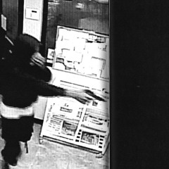 Splurge x Journeyy -30