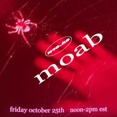 moab X n10.as octobre 2024