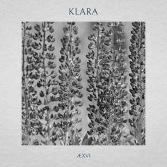 ÆXVI - Klara