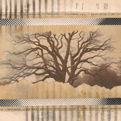 wlr189 Adrian Lane - Where Once We Danced