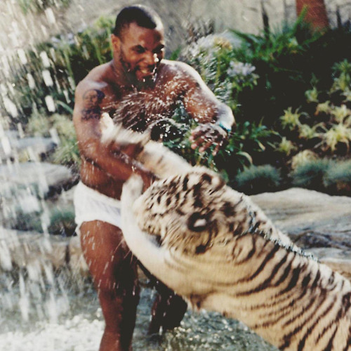 mike tyson