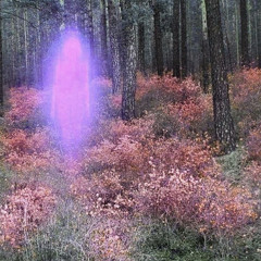 Gimme 2 V5 (final pre release mix)