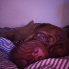Nova, My Savior