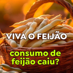 Consumo de feijão carioca vai ser menor em 2025? Como contornar a baixa?