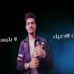 مهرجان دنيا ومرتاح فيها مين_بكره هتزهزه كاشات اجدد مهرجانات 2022