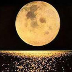 Moon's Gentle Touch
