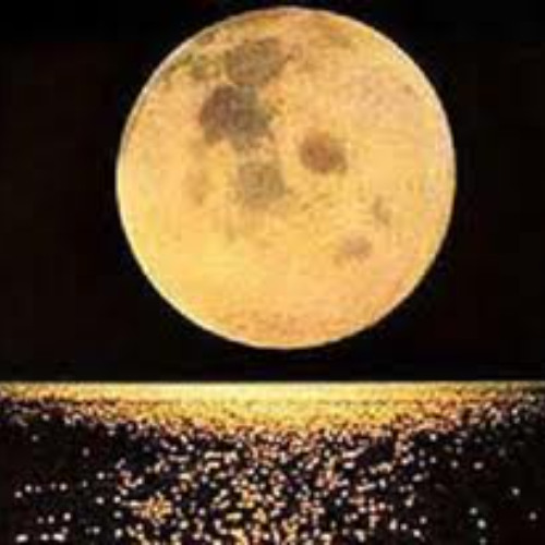 Moon's Gentle Touch