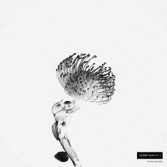 Wrath Beats - Ember Lane