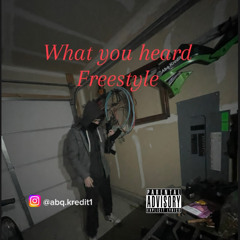 “What you heard” freestyle