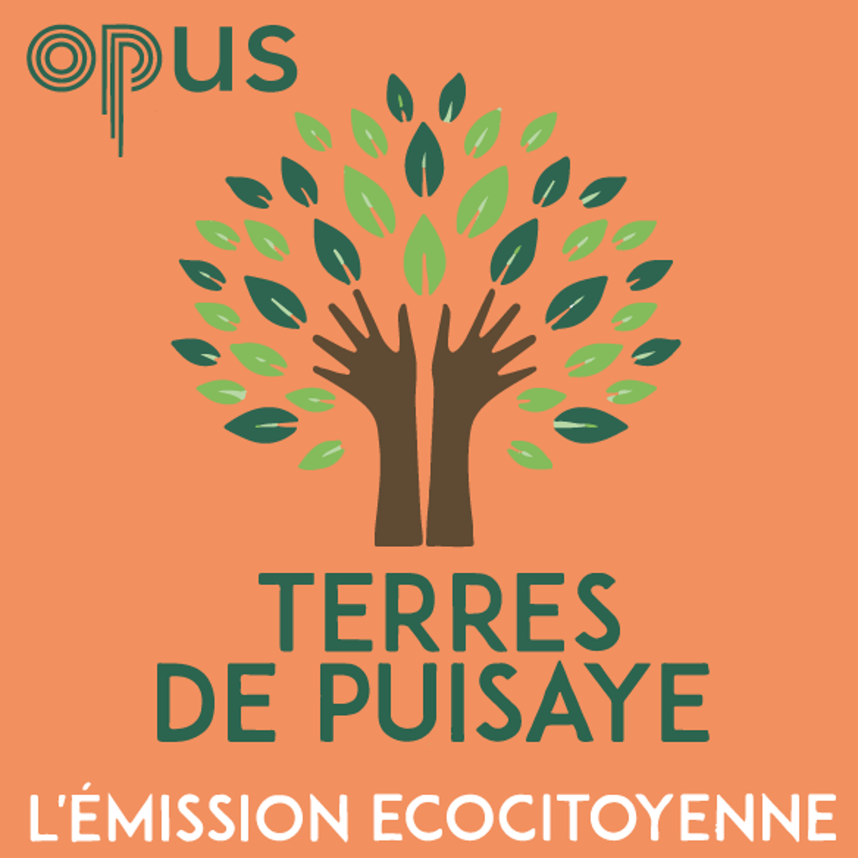 Terres De Puisaye - Emission Du 11 Mars 2023 episode artwork