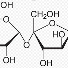 Five o'Clock Tea - Zukka