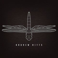 Andrew Nitts - Starbound