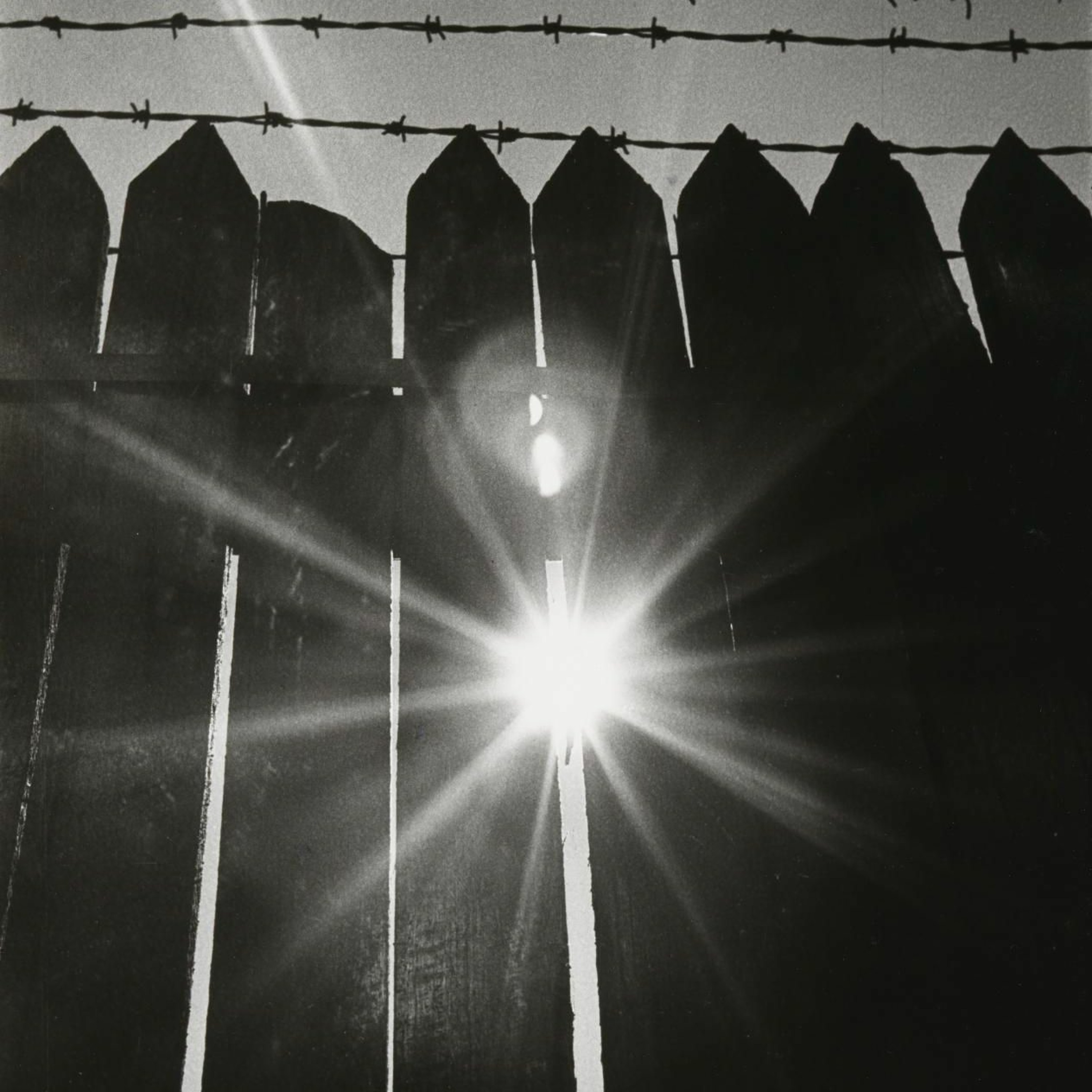 [Patrick Senn] Darkness and Light (Rom 13:8-14; Matt 21:1-13) 27.11.22 Clifton Hill episode artwork
