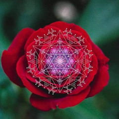 Divine Beauty
