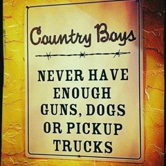 Country Boys.wav