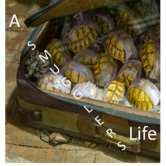 Smugglers Life