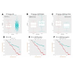 Epigenetic Aging and DNA-Methylation as Tumor Markers for Breast Cancer