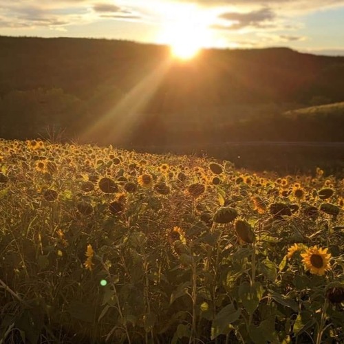 Burning Moon On The Ranch Chill Set