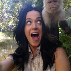 katy perry plugg flip