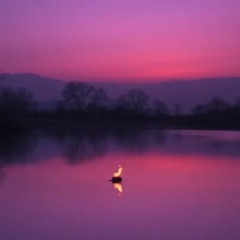 Small Lights by GSaroso.AI