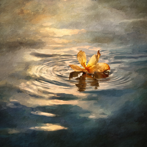 The Shape of Longing