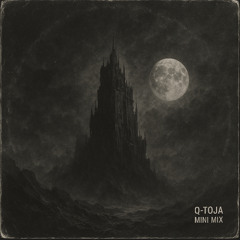 Q-Toja Mini Mix