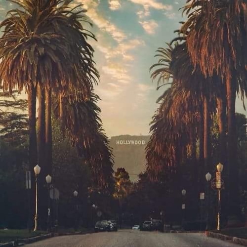 PalmAngels - BoostEra