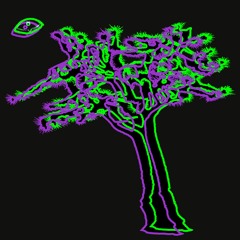 YEA 24M (Cosmic Bash)