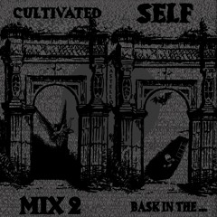 CASTELLO - CULTIVATED SELF 2